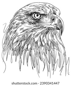 hand drawn Eagle head vector illustration