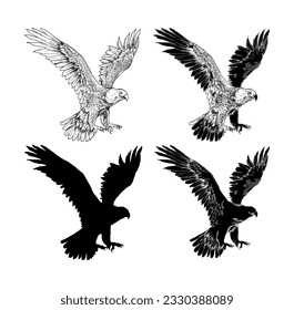 hand drawn eagle illustration with various look