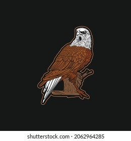 hand drawn eagle logo design
