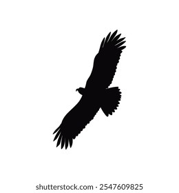 hand drawn eagle silhouette set illustration