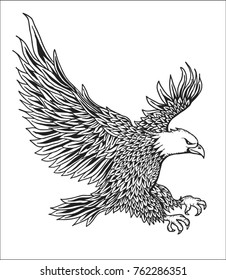 Hand Drawn Eagle Vector