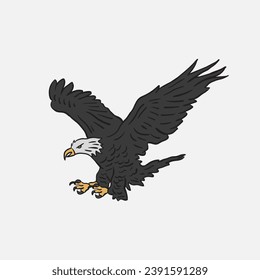 Hand drawn eagle vintage illustration