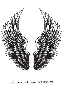 Hand Drawn Eagle Wings