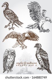 hand drawn eagles & vultures vector set