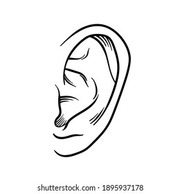 Hand Drawn Ear Sketch Symbol. Vector Listen Element In doodle Style isoleted on white.