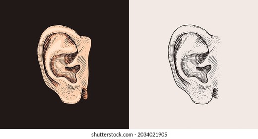 Hand Drawn Ear Sketch Symbol. Vector Listen Element In Trendy Style.