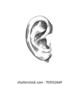 Hand Drawn Ear Sketch Symbol. Vector Listen Element In Trendy Style.