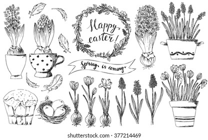 Hand drawn easter design elements set. Easter wreath, crocus, hyacinths, grape hyacinths, bird nest, easter eggs, easter cake, bird feathers. Happy easter hand lettering. 