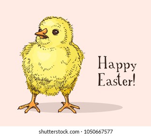 Hand drawn easter gift card with little chick. Greate holiday doodle vintage illustration with funny yellow bird