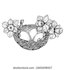 Hand drawn Easter nest with eggs, blooming daffodils and willow branches. Spring botanical black and white illustration for cards, holiday design, packaging, crafts, and seasonal decoration.