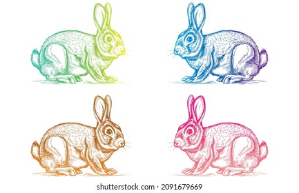 Hand Drawn Easter Rabbit Vector Illustration. Colorful Rabbit Isolated On A White Background
