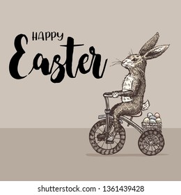 Hand drawn Easter rabbits riding bicycle  vector