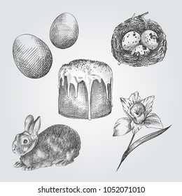Hand Drawn Easter Set. Collection Of Easter cake, rabbit, eggs, quail eggs, narcissus Sketches on white background. Easter vintage vector illustrations set.