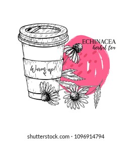 Hand drawn echinacea herbal tea to go. Tea cup, purpurea flower. Vectror engraved art. Healing warm tea in paper cup. Food ingredient, aromatherapy, cooking. For restaurant menu, treating, healt care.