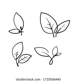 hand drawn eco set of black line leaf icons on white background doodle