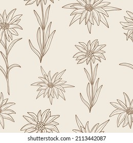 Hand drawn edelweiss flowers seamless pattern