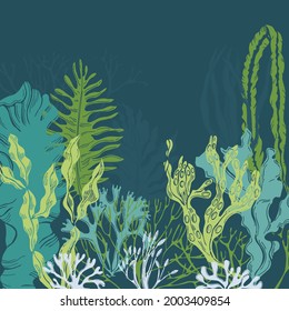 Hand drawn edible  algae. Vector background.