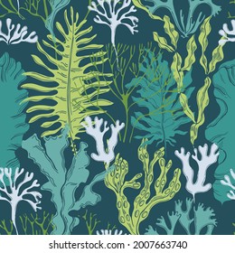 Hand drawn edible  algae. Vector  seamless pattern. 