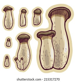 Hand drawn edible king trumpet  (Pleurotus eryngi) mushrooms cartoon vector.