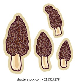 Hand drawn edible mushrooms morels (Morchella) cartoon vector.