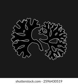 Hand drawn Edible Tohsaka red Seaweed salad algae graphic illustration. Natural drawing