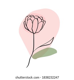 Hand drawn editable minimalistic sketch of beautiful rose with abstract coloring in muted colors on a white background.   