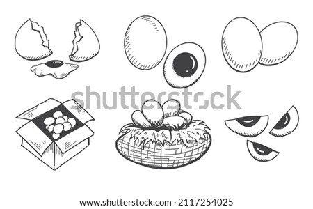 Hand drawn Egg set, boiled egg, egg trough, egg pack on white background.