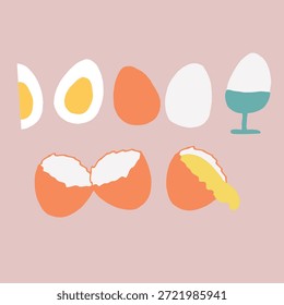 Conjunto de Ilustración vectorial de huevo dibujado a mano que muestra huevos enteros, huevos agrietados, huevos hervidos y mitades de huevo. Elementos educativos de alimentos adecuados para guías de cocina, decoración de cocinas, infografías de alimentos, empaques, carteles y proyectos de ilustración.