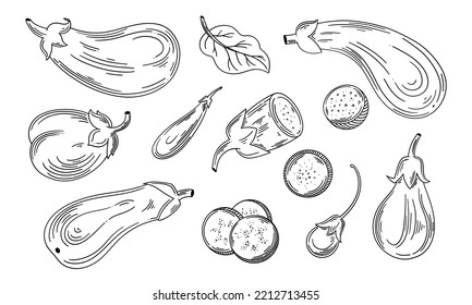 Handgezeichnete Aubergine, eine halbe Aubergine und eine Scheibe. Schwarz-Weiß. Vektorgrafik einzeln auf weißem Hintergrund.