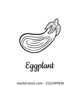 Hand drawn Eggplant isolated on a white. Vegetables drawings. Vector illustration.