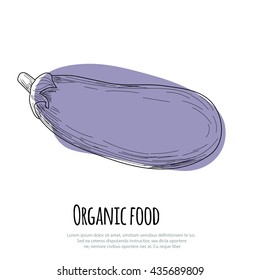 Hand drawn eggplant over white background