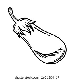Hand drawn eggplant vector illustration. Sketch style aubergine graphic. Farmers Markets, Packaging, Kitchen Decor