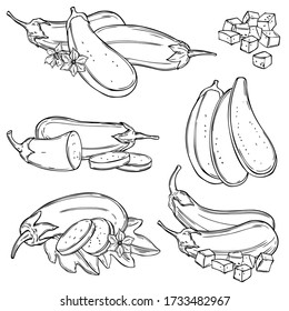 Hand drawn eggplant. Vector sketch  illustration.