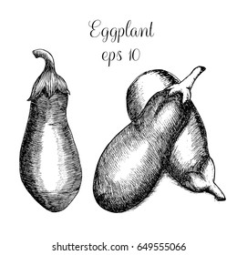 Hand drawn eggplants