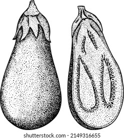 Oberenjenas dibujadas a mano. Ilustración vectorial aislada en fondo blanco. Granja, verduras frescas y ecológicas.