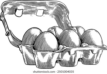 Hand drawn Eggs in a Carton Box Sketch Illustration