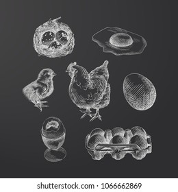 Hand Drawn eggs Sketches Set isolated on chalkboard. Collection Of quail eggs, chicken eggs, Baby chicken and a hen Sketches In Chalk Style