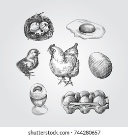 Hand Drawn eggs Sketches Set. Collection Of quail eggs, chicken eggs, Baby chicken and a hen Sketches isolated on white background In Trendy Style