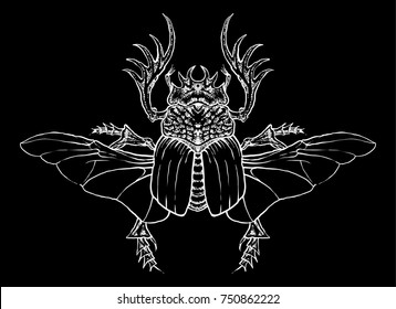 hand drawn egyptian insect scarab