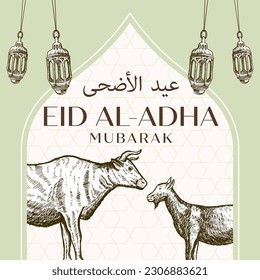 hand drawn Eid al Adha with cow and goat illustration