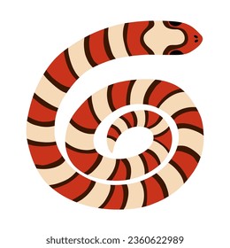 Hand drawn elapidae snake clipart in bright colors. Jungle or zoo serpent rolled into a circle. Tropical or Wild West poison viper in the top view. Vector wildlife concept. Coral dangerous snake