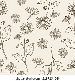 Hand drawn elecampane flower seamless pattern