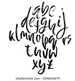 Hand drawn elegant calligraphy font. Modern brush lettering. Grunge style alphabet. Vector illustration.
