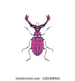 Hand drawn elegant grunge beetle sketch art EPS