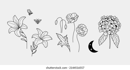 Hand drawn elegant hydrangea, lily and poppy flowers, honey bee and moon. Set of aesthetic floral elements, moon and bee, perfect for logo design and branding. Night garden.