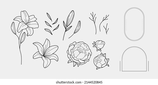 Hand Drawn Elegant Lily And Rose Flowers, Twigs And Frame. Set Of Aesthetic Floral Elements, Branches And Frames, Perfect For Logo Design And Branding.