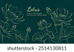 Hand drawn elegant linear illustration of a lotus flower on a dark background
