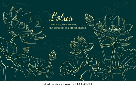 Hand drawn elegant linear illustration of a lotus flower on a dark background