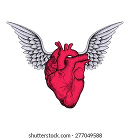 Hand drawn elegant red heart with wings, sketch for tattoos design, dot work art. Vintage vector illustration isolated on white background.