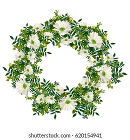 hand  drawn elegant and romantic  graphic flower wreath with white chamomile. vector isolated flower frame